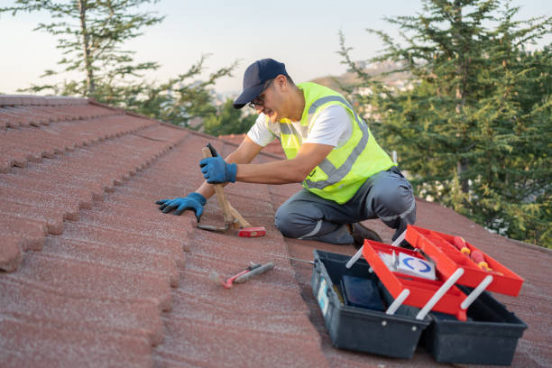 Best Shingle Roofing Installation  in Dasher, GA
