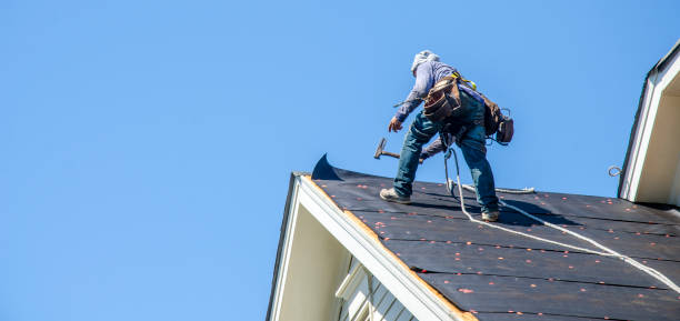 Best New Roof Installation  in Dasher, GA